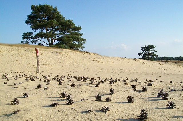 Wekeromse Zand Ede. Fotograaf: Gilbert Boerekamp