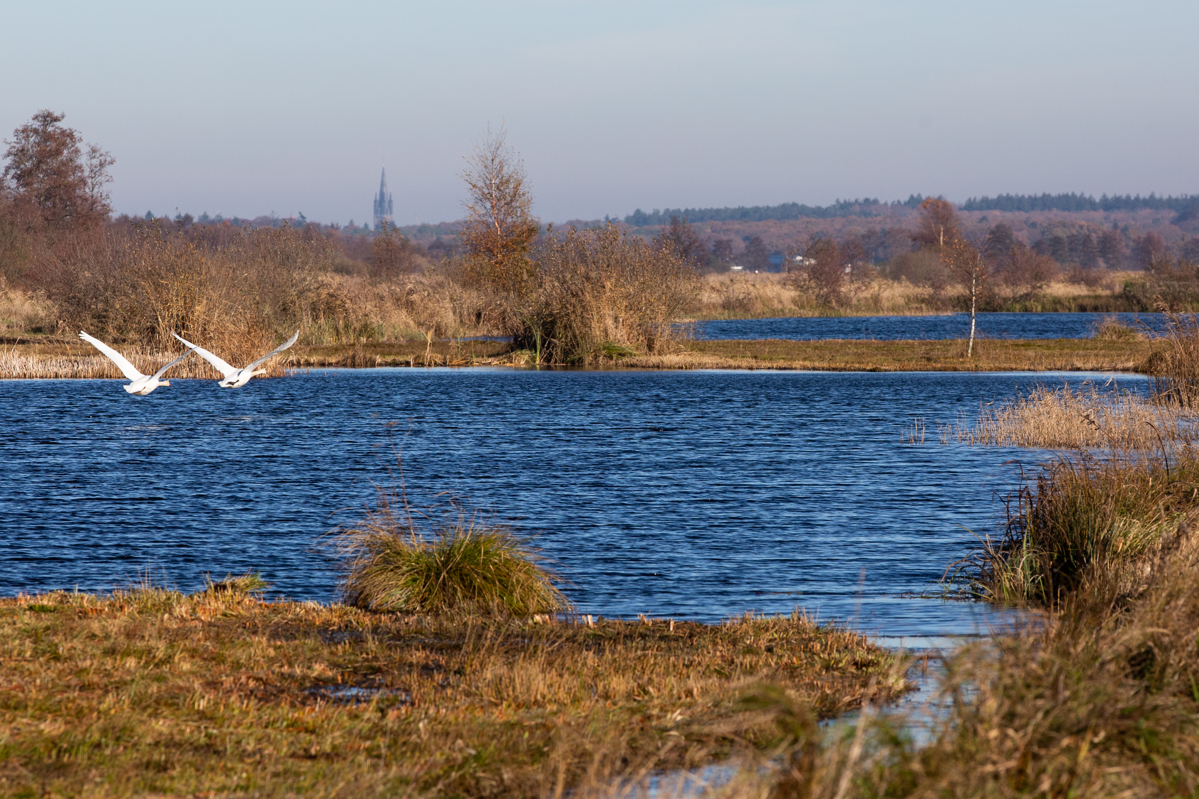 Westbroekse Zodden