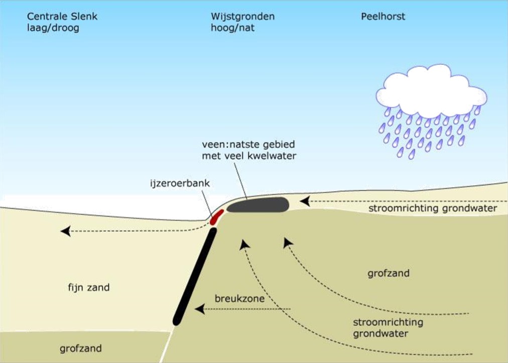 Waterhuishouding wijstgronden