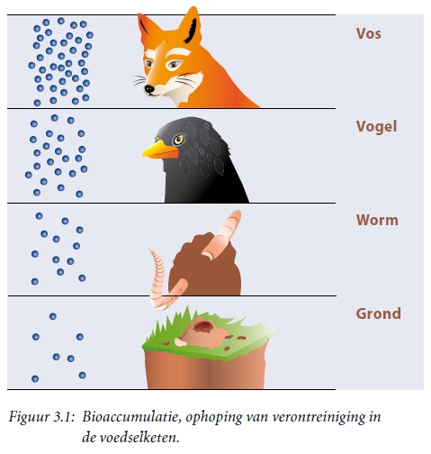 Bioaccumulatie, ophoping van verontreiniging in de voedselketen